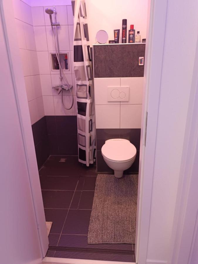 Apartment Mit Ausblick ブラウンシュバイク エクステリア 写真